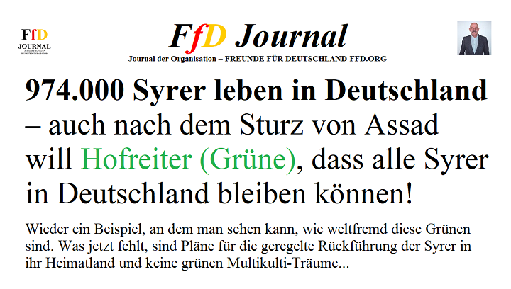 Multikulti in Deutschland: Hofreiter und die Flüchtlingspolitik
